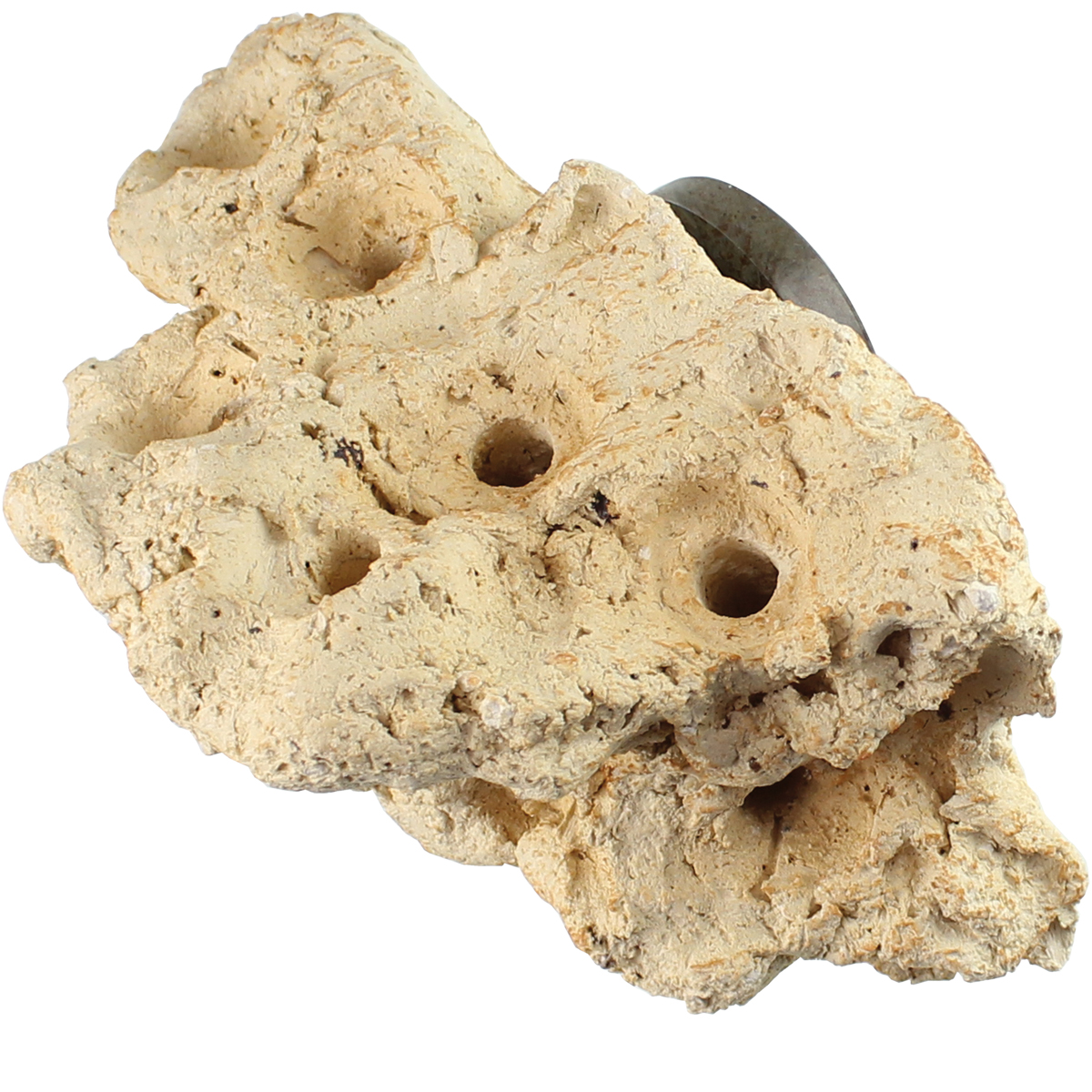 Tunze Coral Rack Nano 0104.800