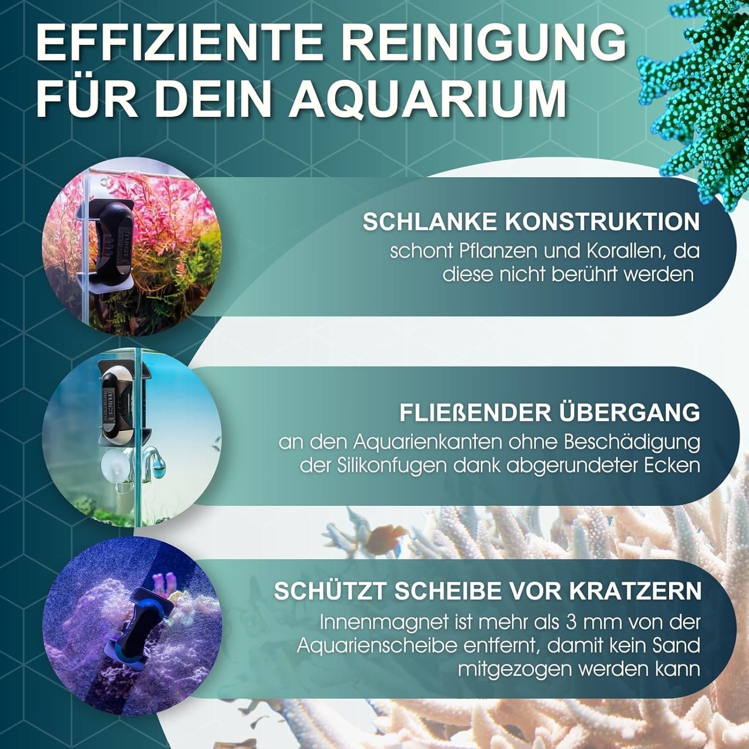 Tunze Care Magnet Nano