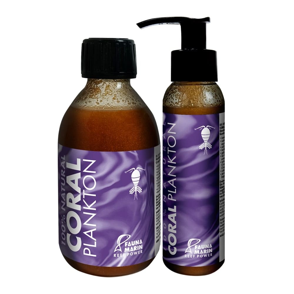 Fauna Marin Coral Plankton
