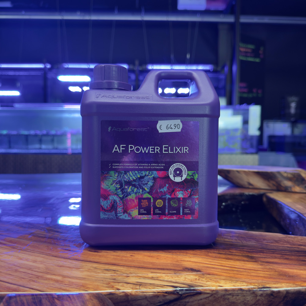 AF Power Elixier