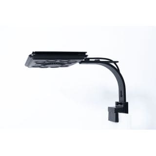 Maxspect Jump L 290 Blue