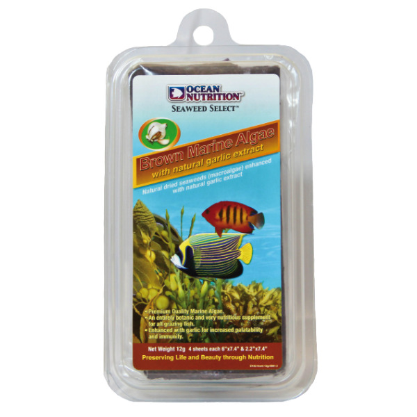 Brown Marine Algae 30g