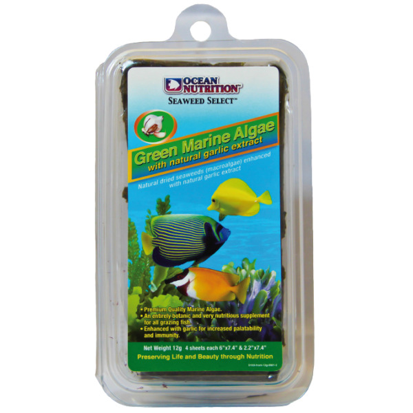 Green Marine Algae 30g