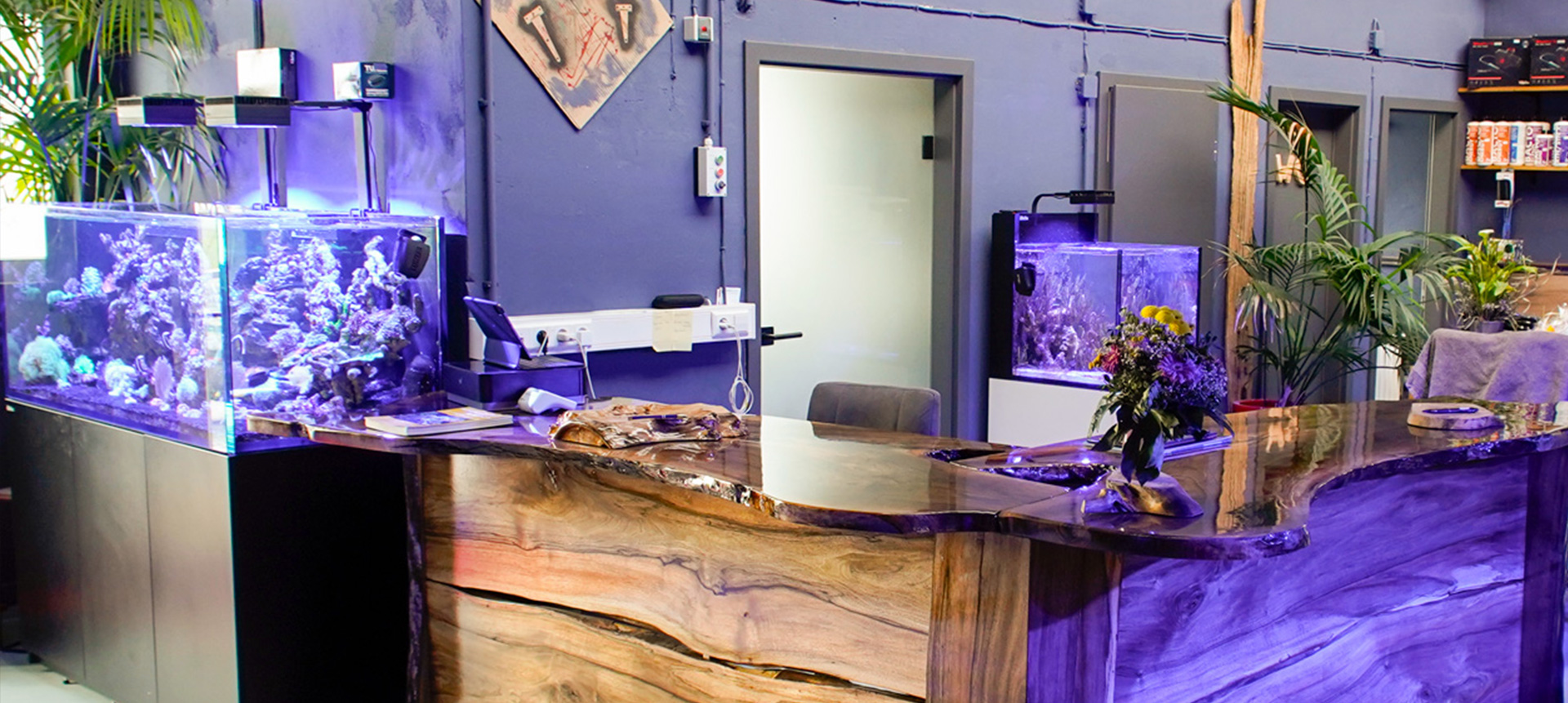 Innenansicht des The Marine Center – moderne Aquaristik mit Leidenschaft