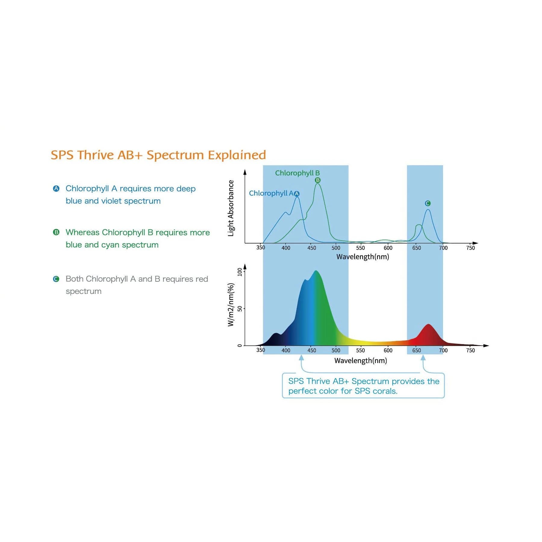 Maxspect MJ-L260 Blue