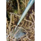 Pipette 60cm