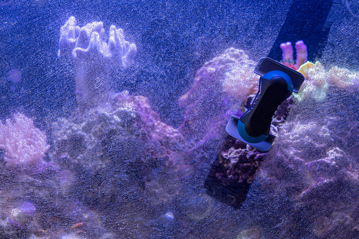 Tunze Care Magnet Nano