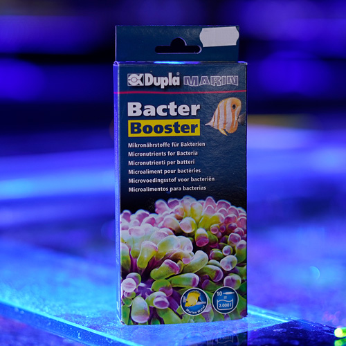 Bakterienfutter für Fische