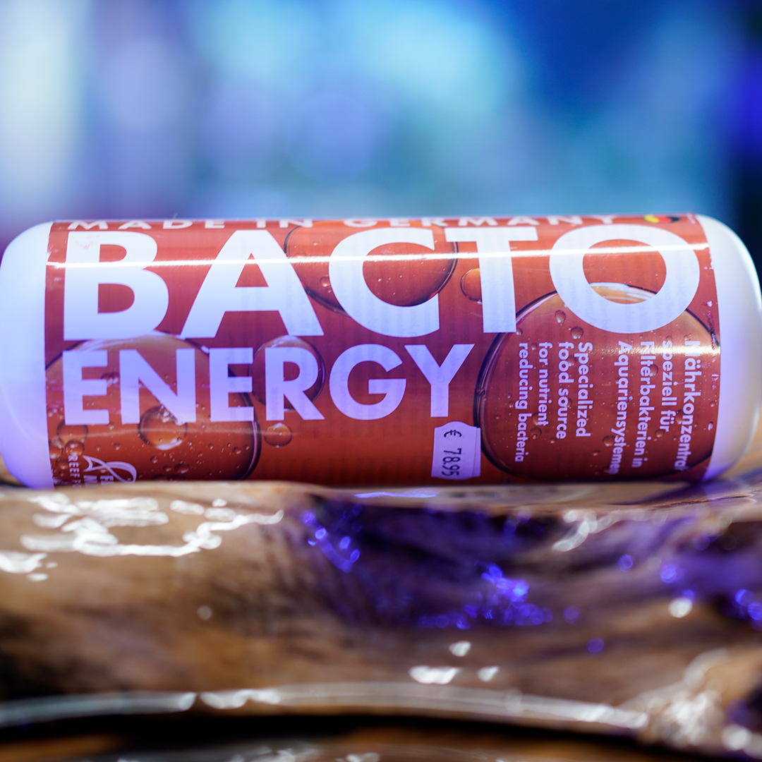 Bakterien zur Aufbereitung im Meerwasseraquarium