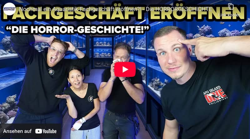 tmc_vorschaubild_youtube-video